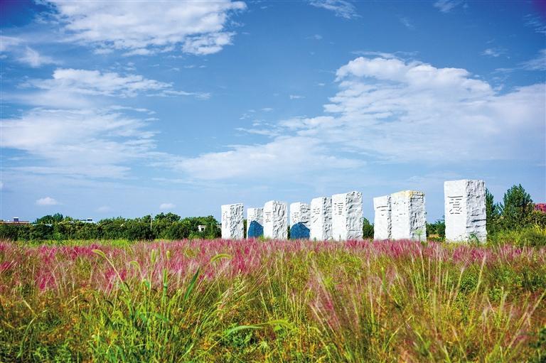 10月12日,西安市西咸新区秦汉新城秋意渐浓. 记者 侯燕妮摄