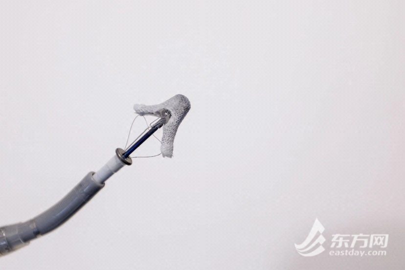 什么是电生理导管提前“解锁”前沿科技 这位“老友”将在进博期间展示众多创新解决方案_https://www.jmylbn.com_新闻资讯_第4张