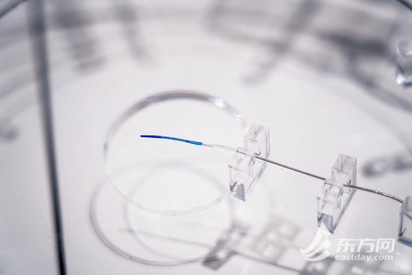 什么是电生理导管提前“解锁”前沿科技 这位“老友”将在进博期间展示众多创新解决方案_https://www.jmylbn.com_新闻资讯_第6张