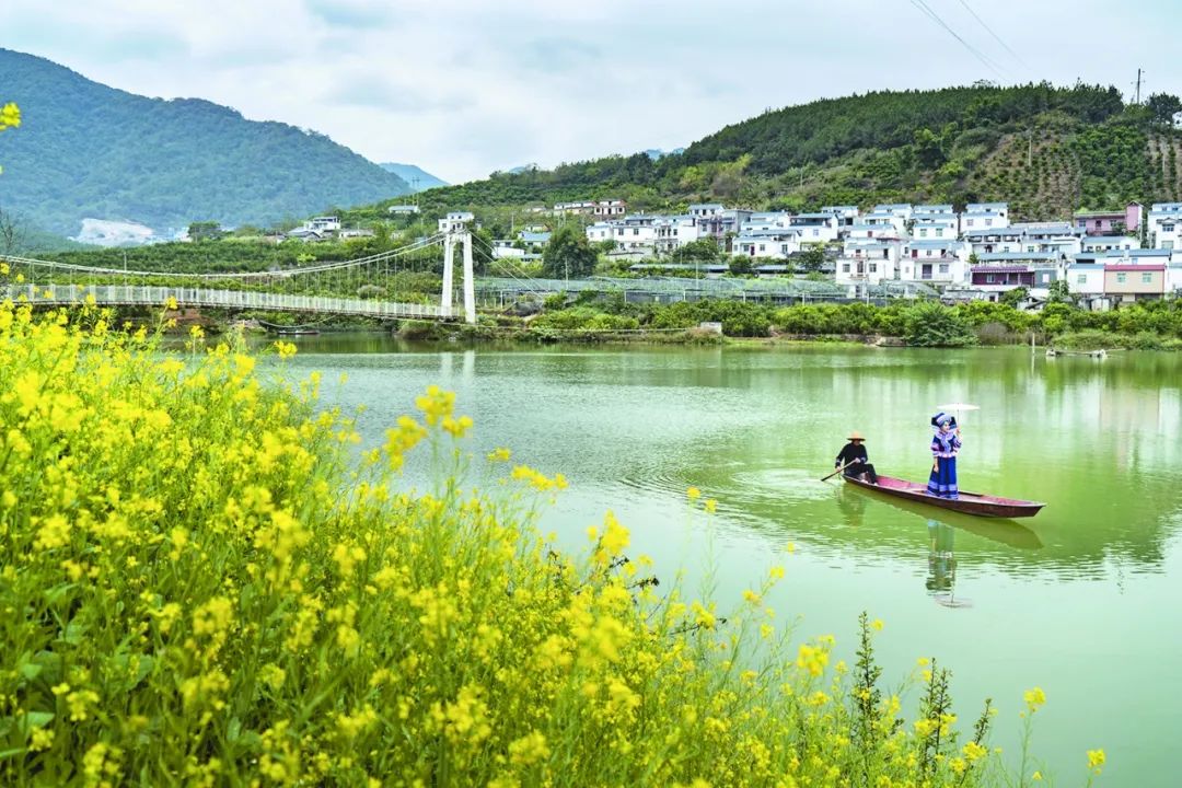 百色市西林县普合苗族乡新丰村乡村旅游区.图源右江日报