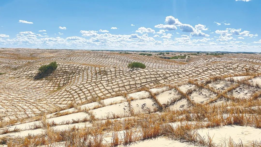 翁牛特旗采取工程固沙模式打造的27万亩草方格蔚为壮观(张萌 摄)