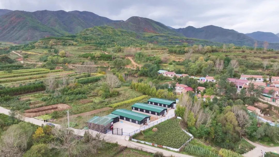 宁夏67泾源县香水镇暖水村:立足村情发羊财 奏响乡村振兴"牧羊曲"