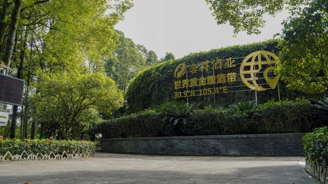 好酒中国行科学考察走进舍得黄金谷制曲生态园,感受适宜酒曲微生物