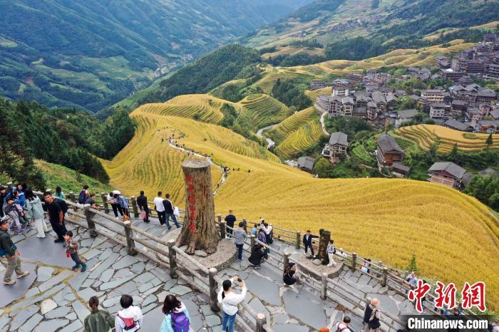 10月20日,游客在广西桂林市龙胜各族自治县龙脊梯田景区观光游览(无人