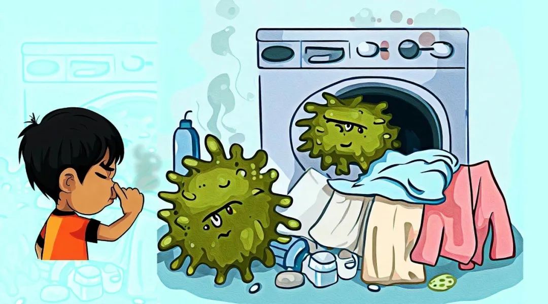 洗涤过程对“脏衣物”上微生物组及后续异味产生的影响（图源：中国科学院青岛生物能源与过程研究所）