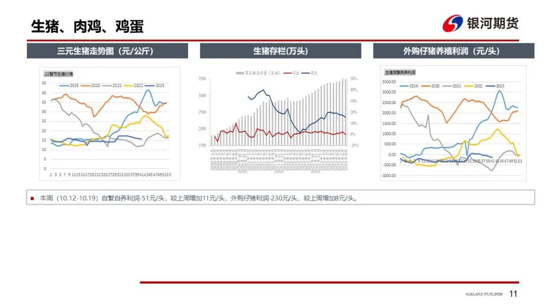 【玉米和淀粉周报】收购主体开始入场  玉米现货跌势放缓