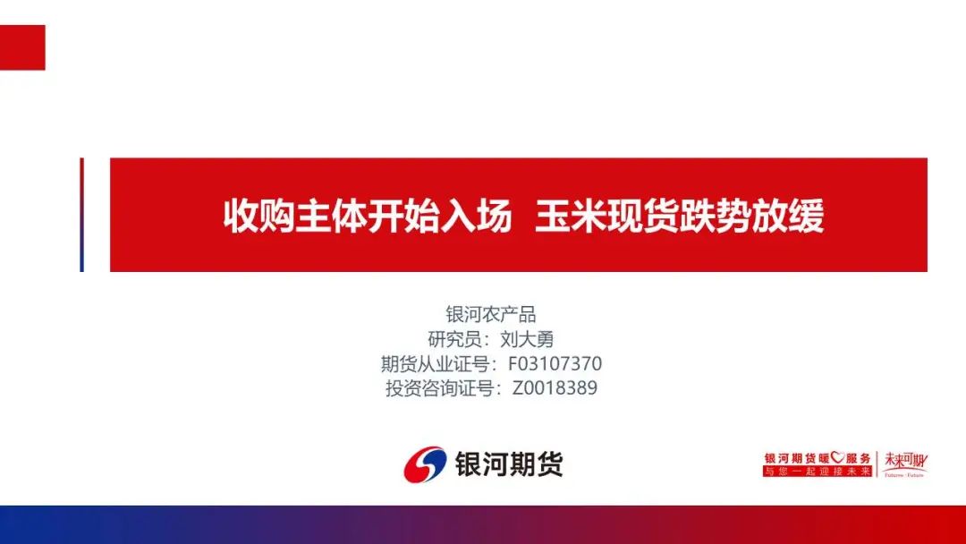 【玉米和淀粉周报】收购主体开始入场  玉米现货跌势放缓