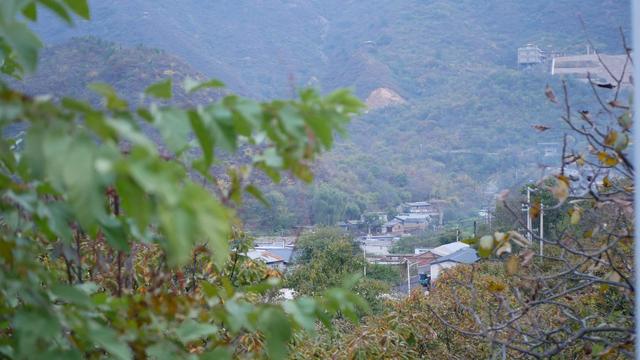 新京报记者 景如月 摄