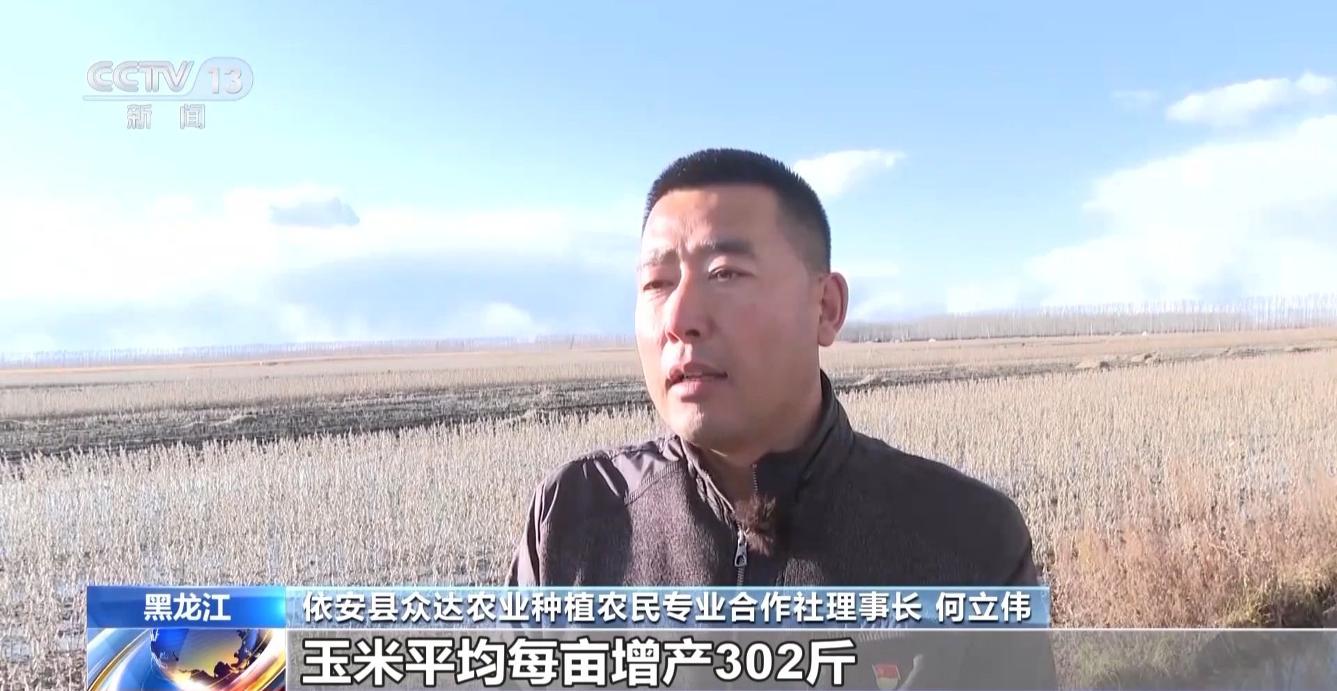 在黑龙江省依安县,180多万亩大豆喜获丰收.