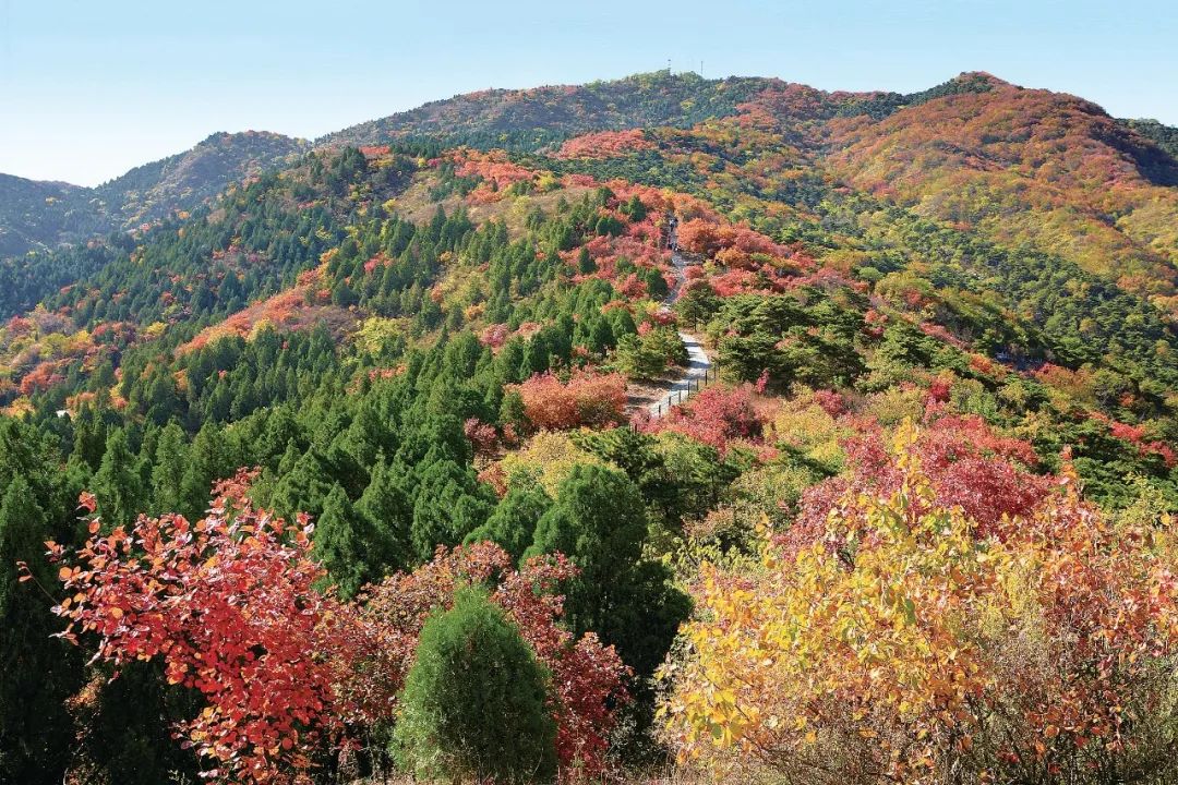 西山国家森林公园彩叶