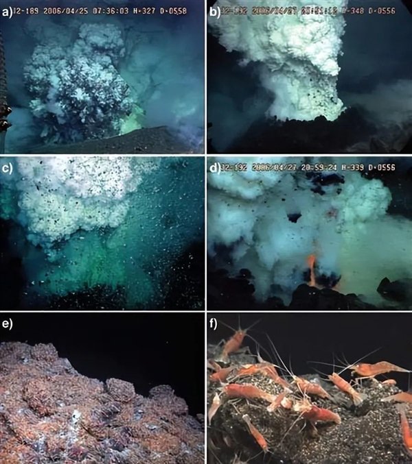 图:海底热泉的生命