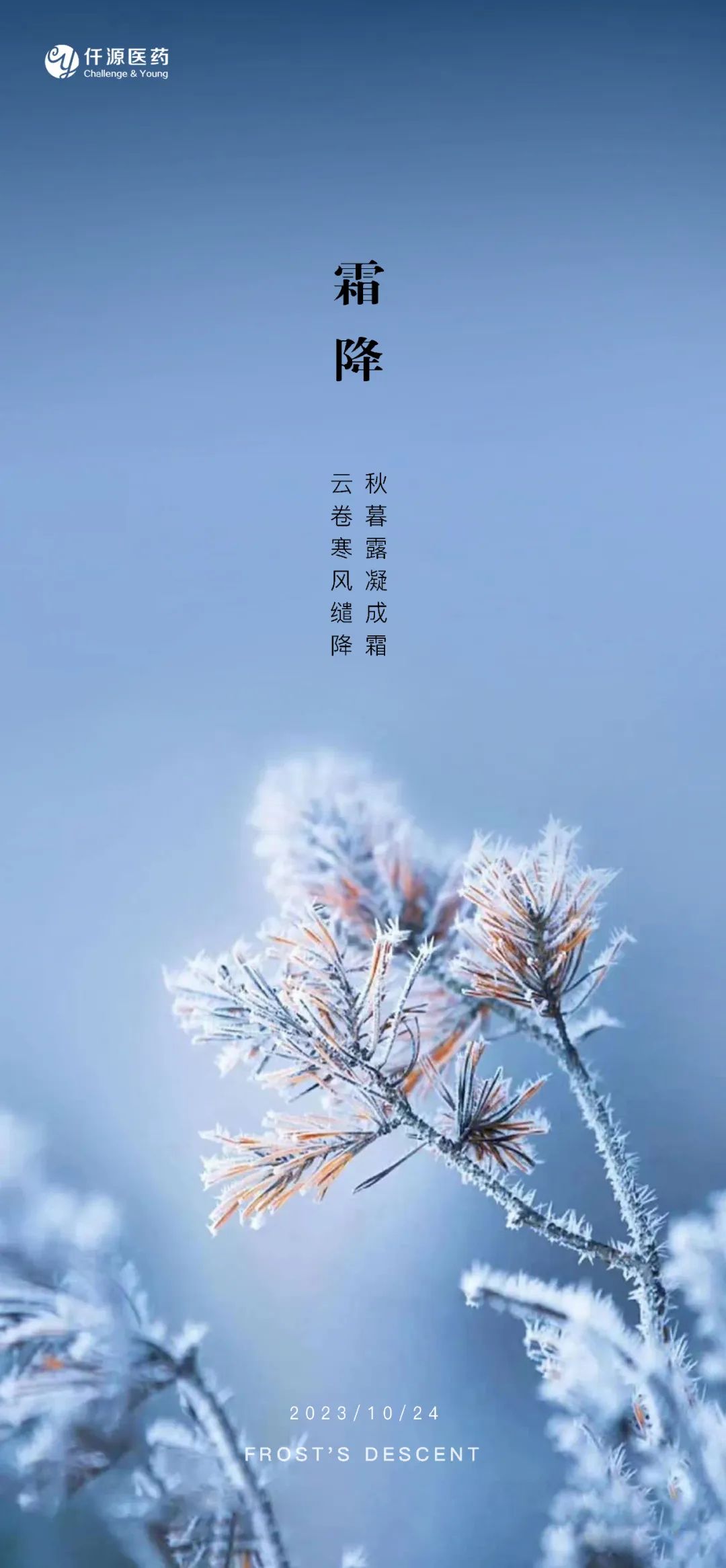 霜降| 秋暮露凝成霜,云卷寒风缱降_新浪财经_新浪网