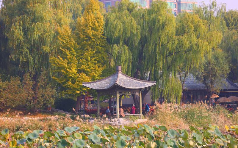 10月23日,东城区柳荫公园经过全龄友好改造后正式开园亮相.
