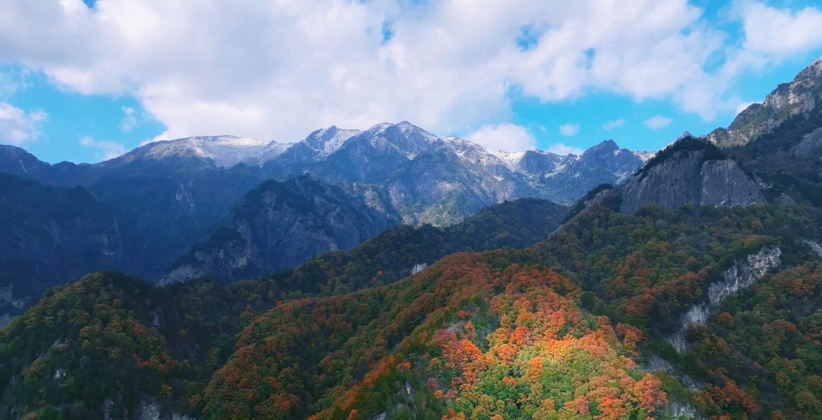 陕西宁陕:秋意正浓 美景正当时_新浪财经_新浪网