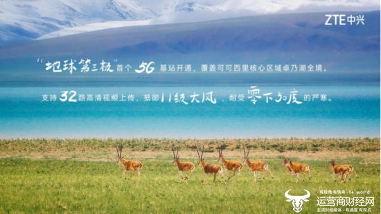 中兴排行榜_国产手机排名前十品牌2021,国产手机排名前十的(2)