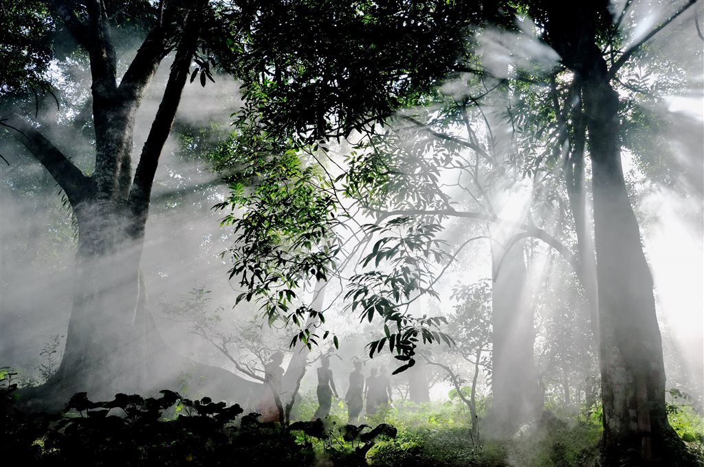 《景迈古茶山晨曦 》王文贵 摄