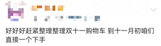 史上“最省心的雙十一”？有人算了2天也沒算明白！有人已退了第一單！