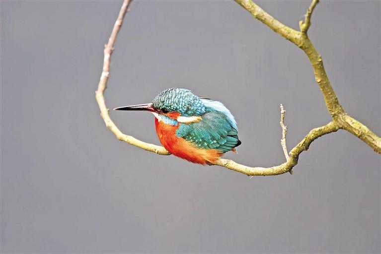 依法保护湿地 共享绿色空间|贵州省_新浪财经_新浪网