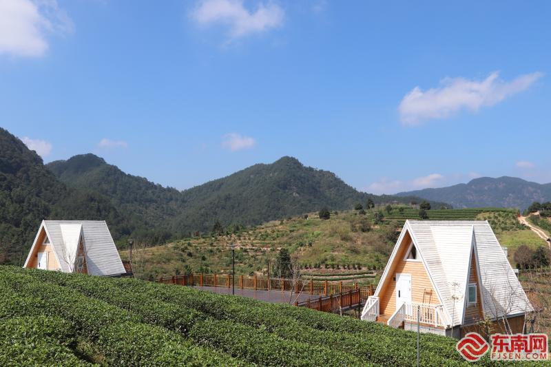 山海人家共同富裕的故事永泰可贵茶旅融合同安镇共绘致富图景