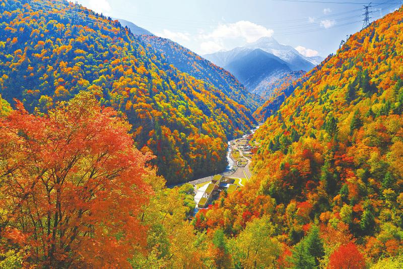 黑水县委宣传部供图