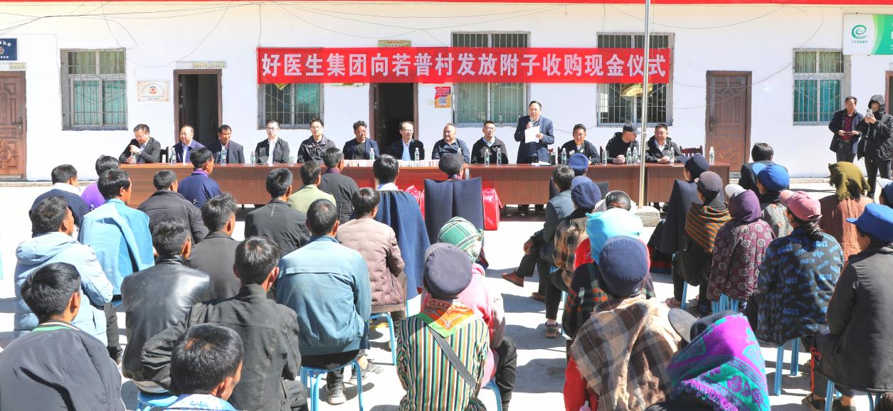布拖县乐安镇若普村附子收购现场
