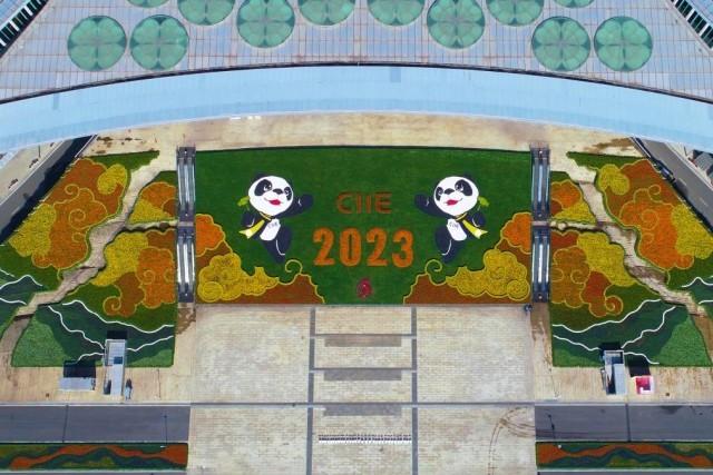 "四叶草"南广场航拍图.受访者供图