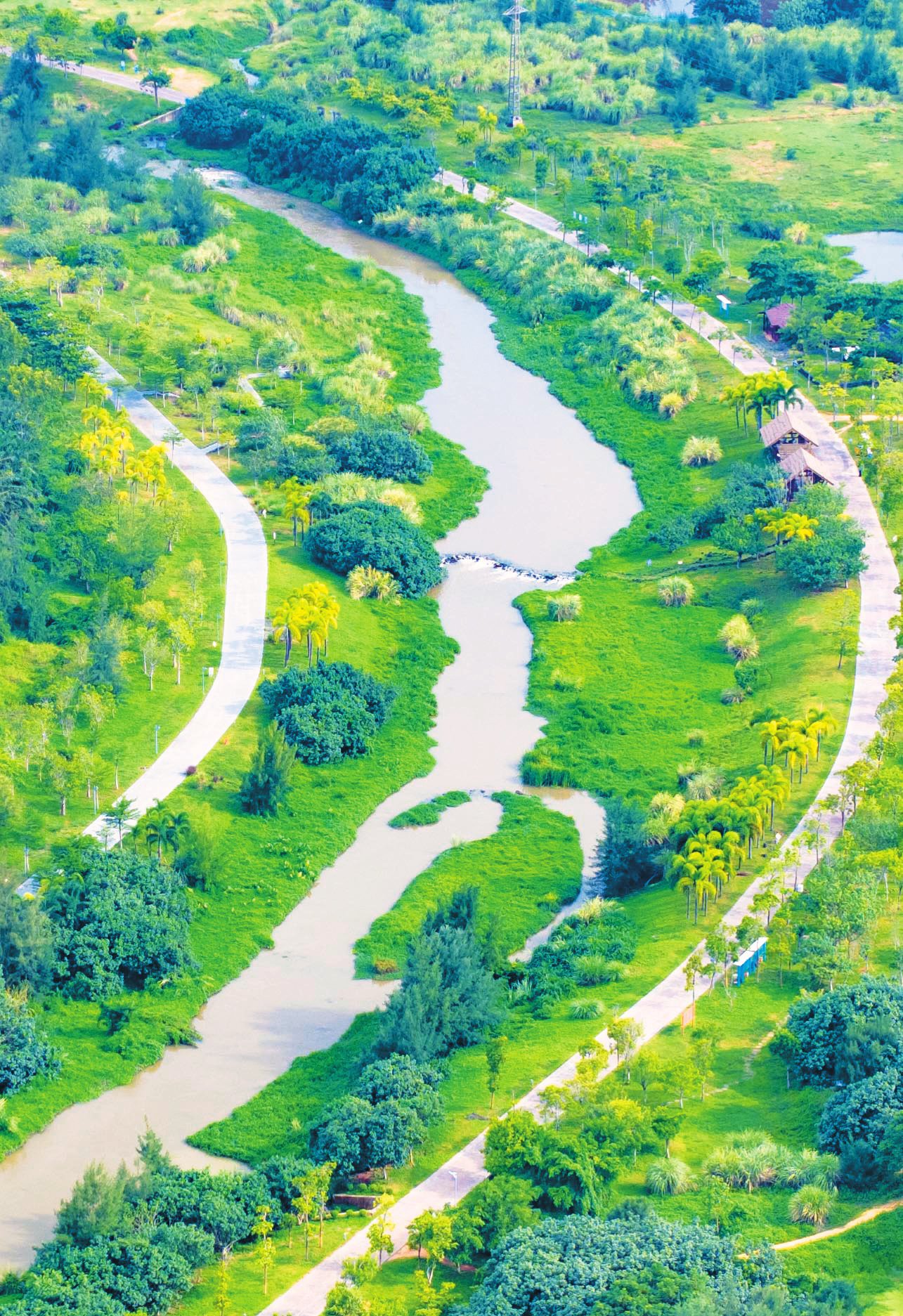 航拍五源河国家湿地公园,绿树成荫,尽显生态好风光.记者 杨忠凯 摄