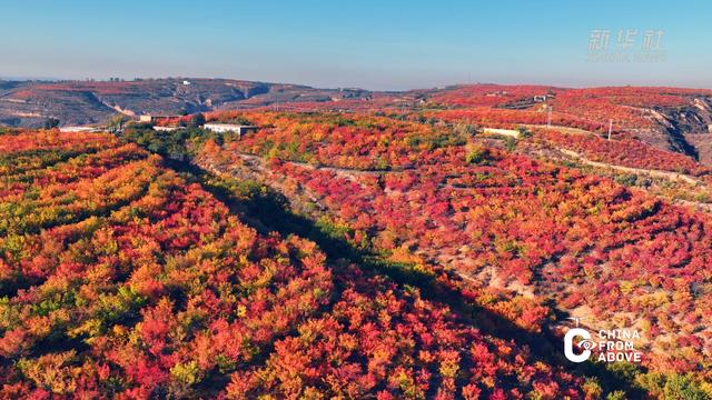 中国蒙古族人口_大陆_资讯_凤凰网(2)
