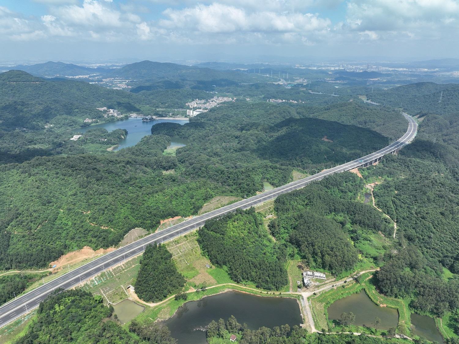 从埔高速一期建成通车 广东新增一条绿美"大动脉"|广东省_新浪财经