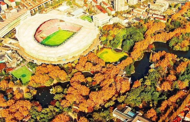 上图:2022年9月底,鲁迅公园引入"公园 "概念进行局部改造,市民游客