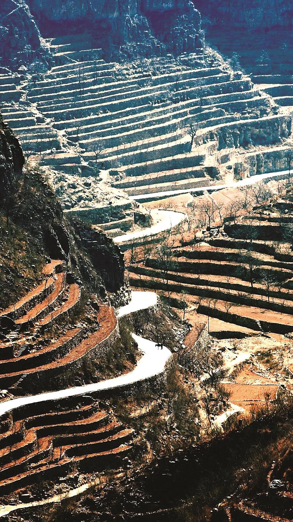 王金庄梯田|梯田_新浪财经_新浪网