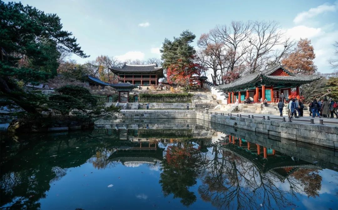 2018年11月13日在韩国首尔拍摄的昌德宫芙蓉池景色