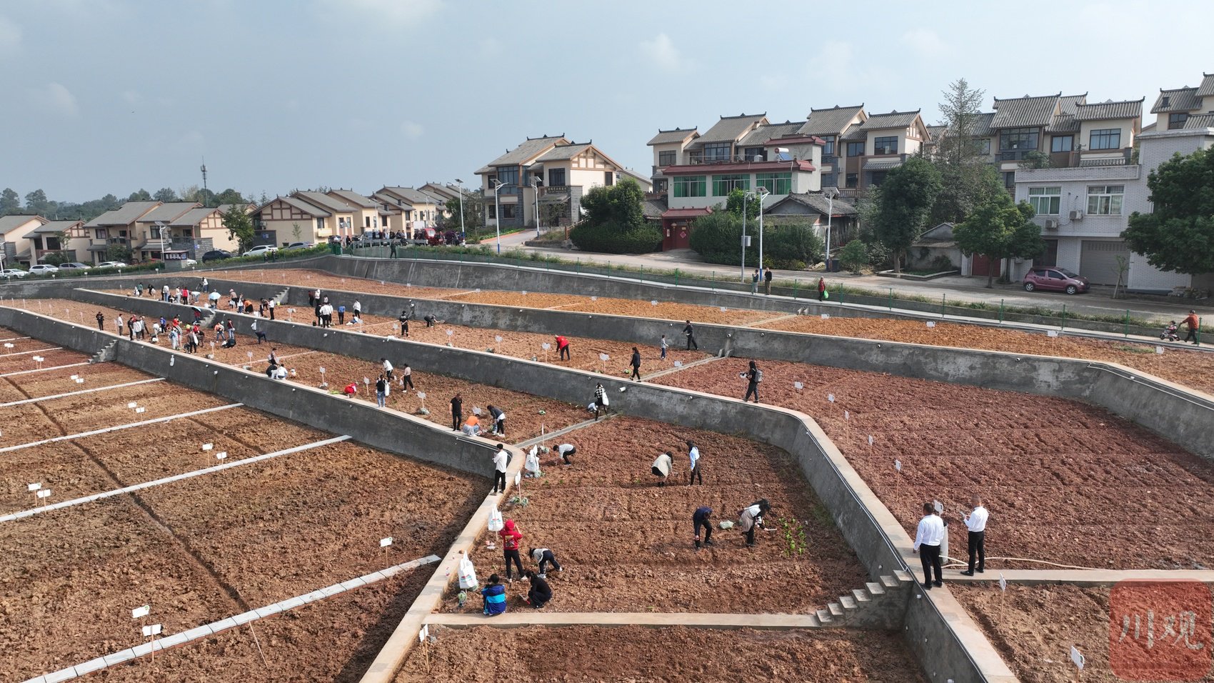 10月28日,成都市双流区永安镇首块"共享菜园"在梨园村对外开放,"共享