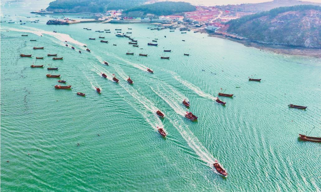 辽参采捕正当时_新浪财经_新浪网