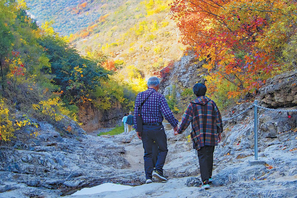 天坛公园,老两口在多彩秋叶下相依相伴,共享阅读之乐.