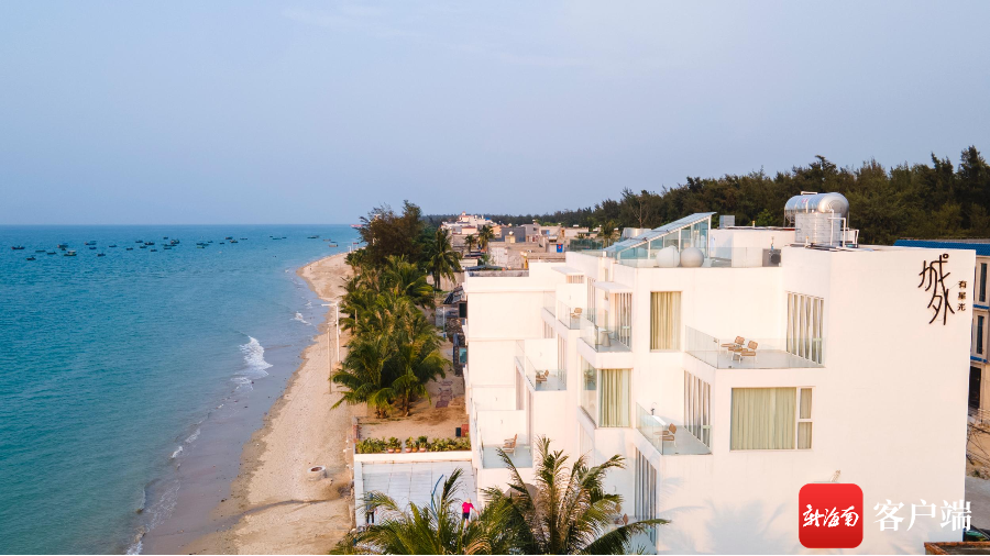 临高融媒体供图