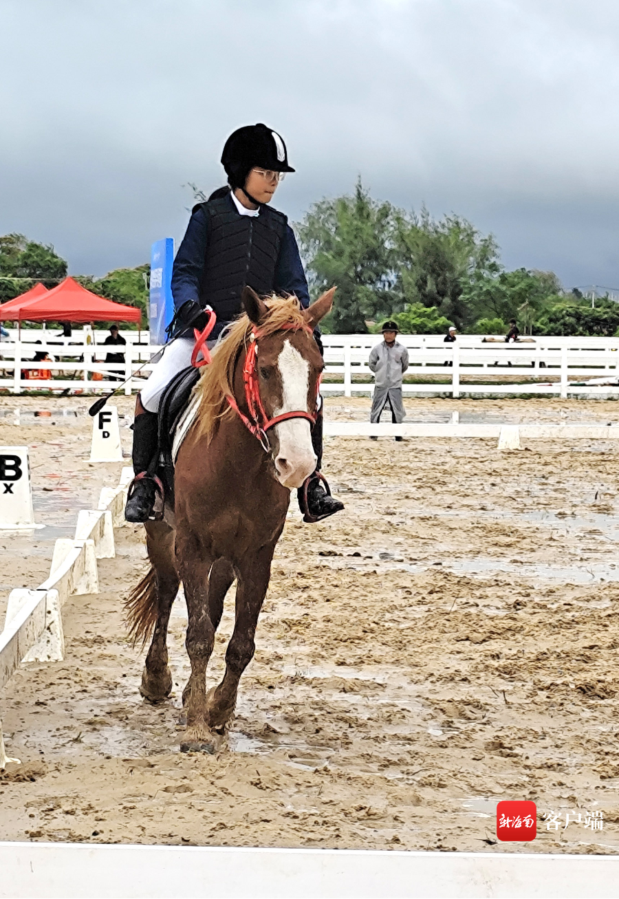 中国马术协会首次在海南举办骑手分级线下考核