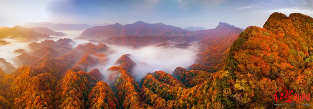 图据光雾山旅游区官网四姑娘山风景名胜区淡季票价参考时间:12月杖 