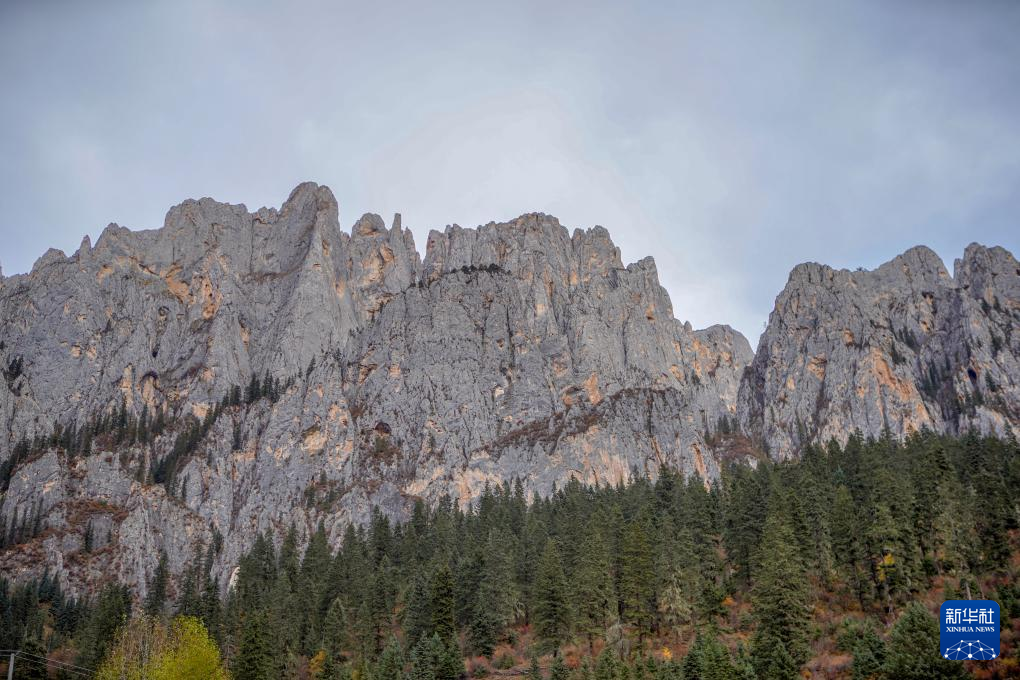 新华社记者邵泽东摄