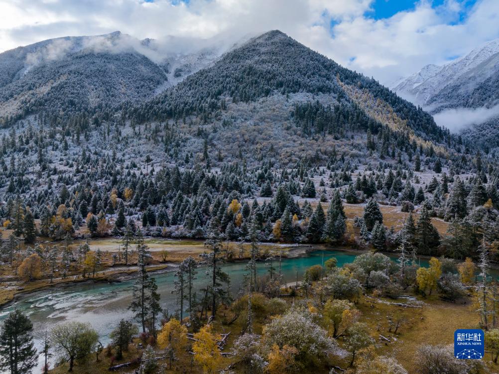 秋色林芝 如画如诗|林芝市_新浪财经_新浪网
