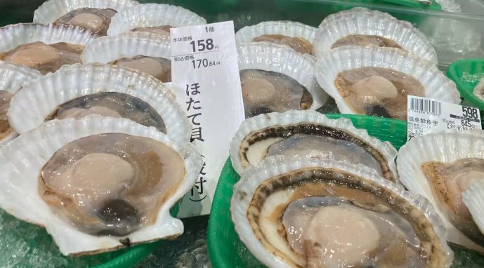 看不见的战场：为什么说基础研究，决定了你我的未来？