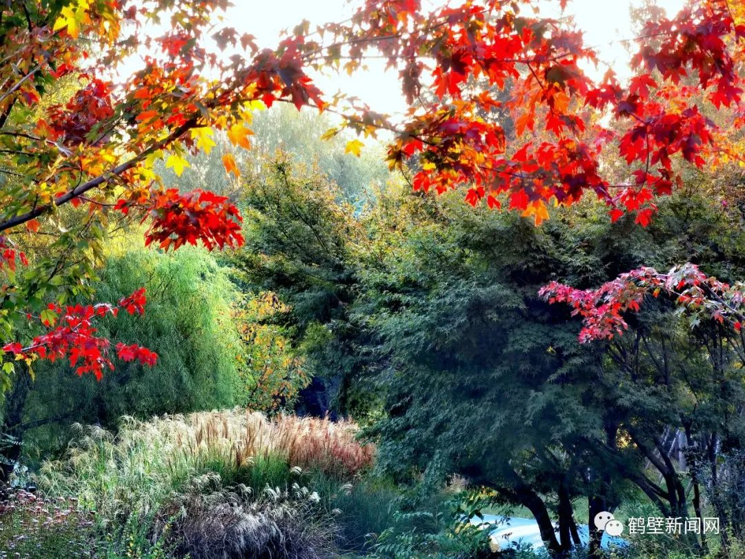 天气状态将会告一段落受冷空气影响鹤壁气温较前期有明显下降11月3日