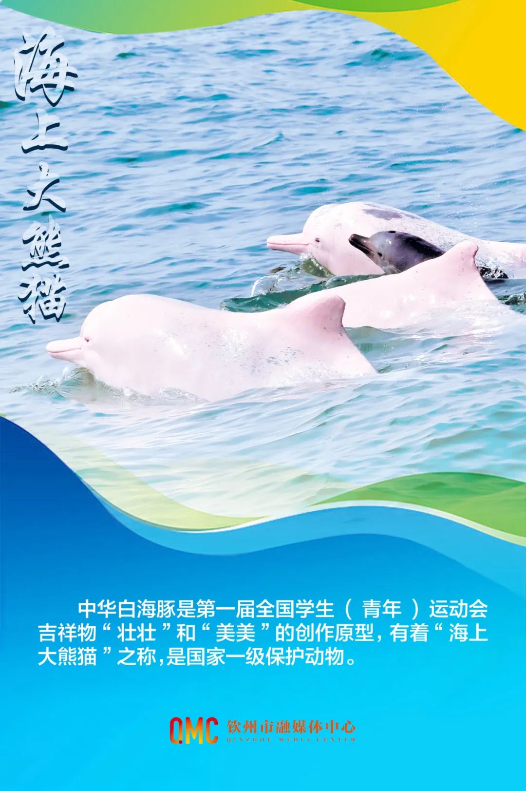 地域风格搭配壮锦和民族服饰创作原型为中华白海豚一对活泼律动的海豚