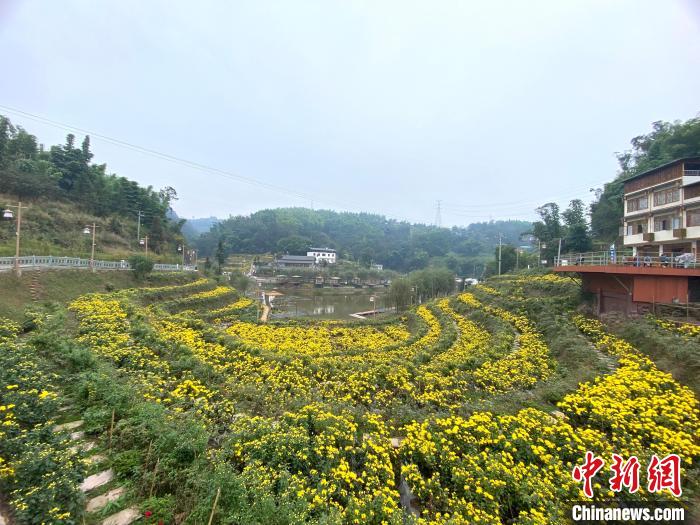 云南昭通"90后"乡村振兴ceo助乡村换新装,走新路|昭通市_新浪财经