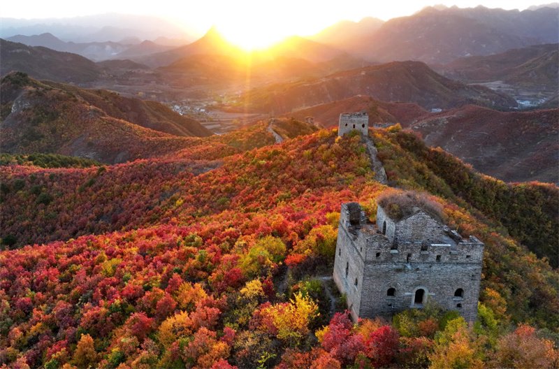 10月26日拍摄的城子峪长城景色(无人机照片).新华社记者杨世尧摄