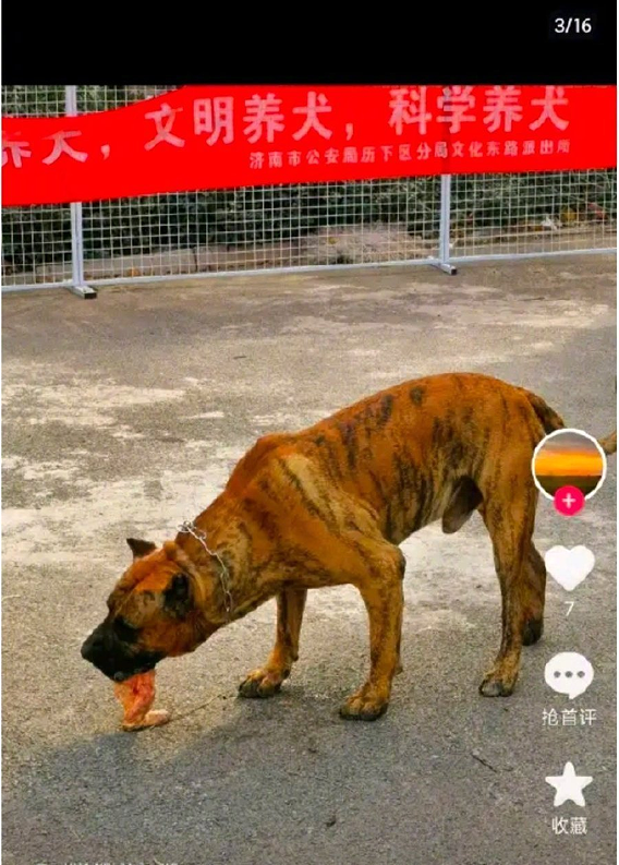 五一出行不踩坑！鸿蒙应用自带出游buff，逛吃游玩全拿捏