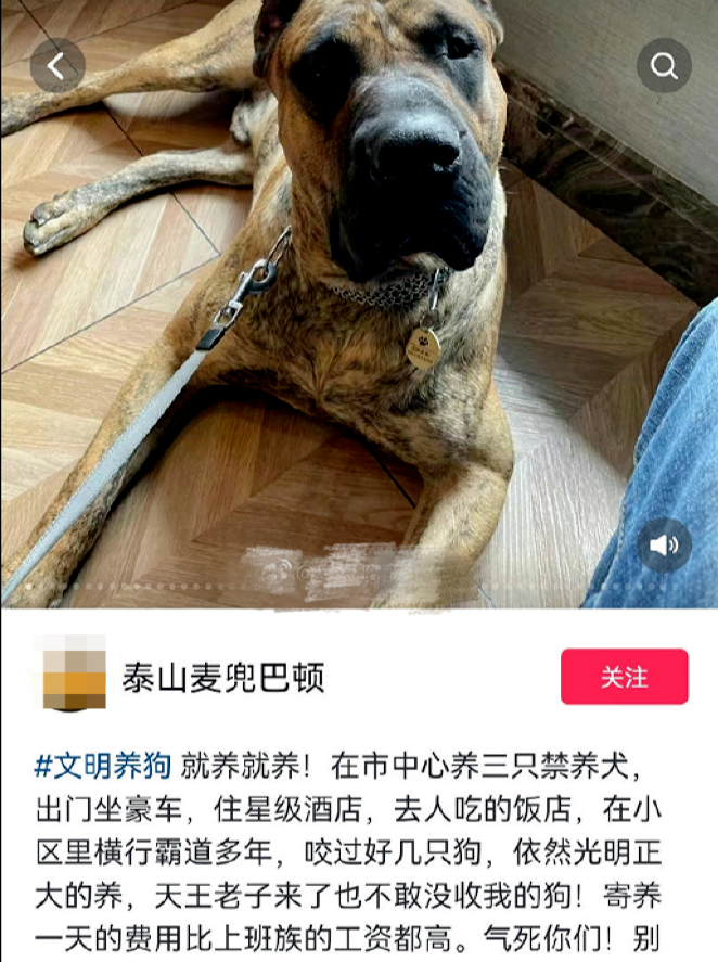 七人行南京师大：文学·历史·新闻三域共觅新路径