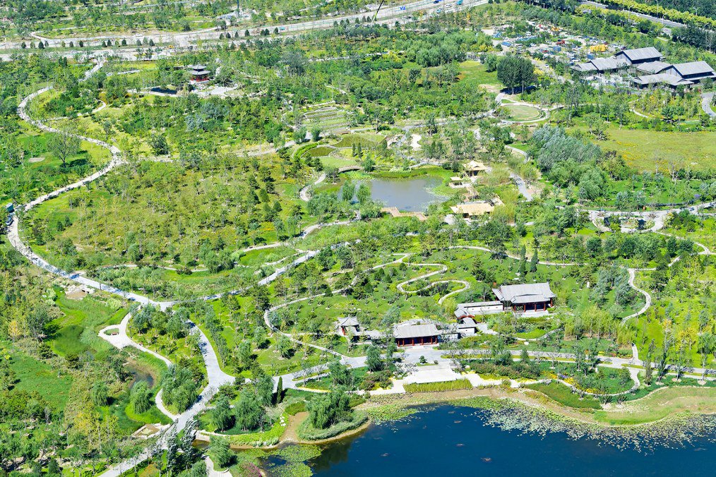 城市绿心森林公园绿意盎然.记者 常鸣/摄