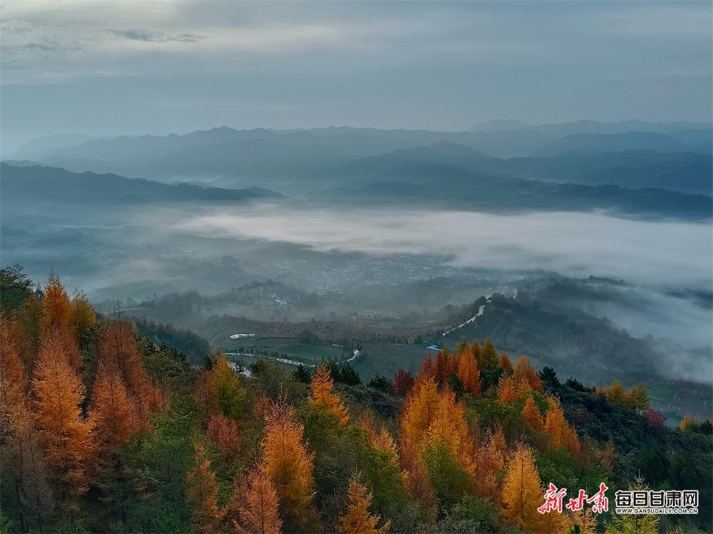 金秋时节,登上西和云华山峰顶,举目四顾,漫山红遍,丹岩如霞,蔚为壮观