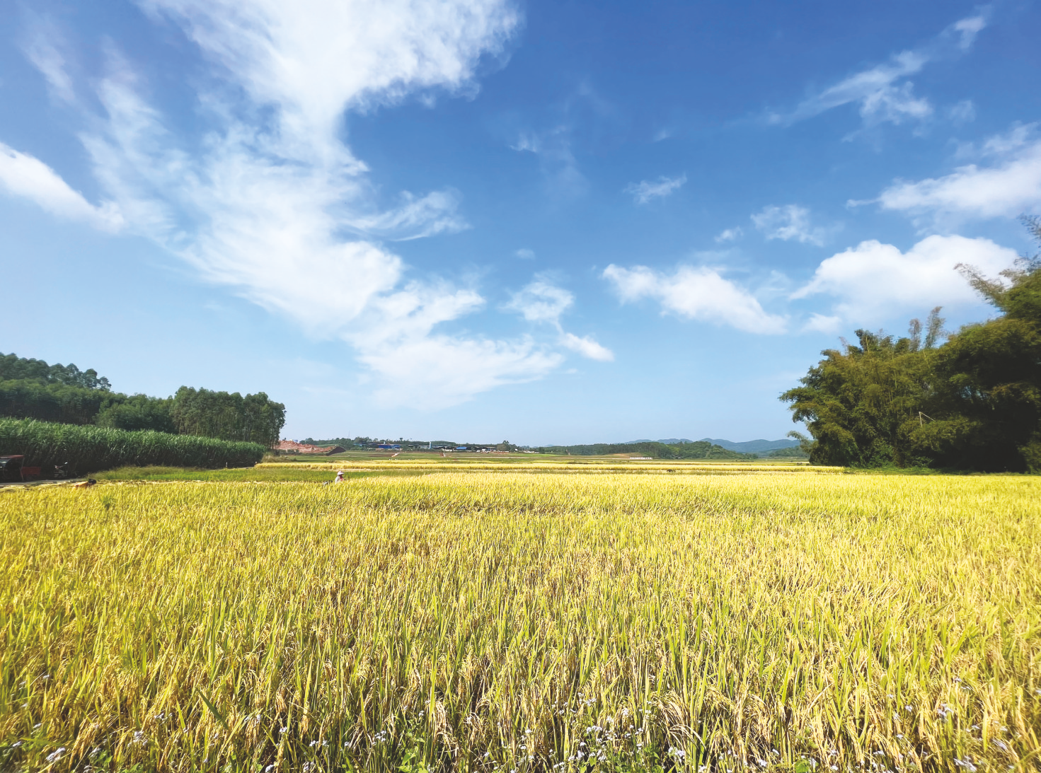 &nbsp;&nbsp;&nbsp;&nbsp;72昨日,南宁蓝天白云上线.